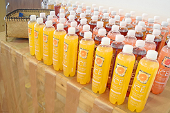 LADY 12 CELEBRITY FASHION SHOW AT METROPOLIST